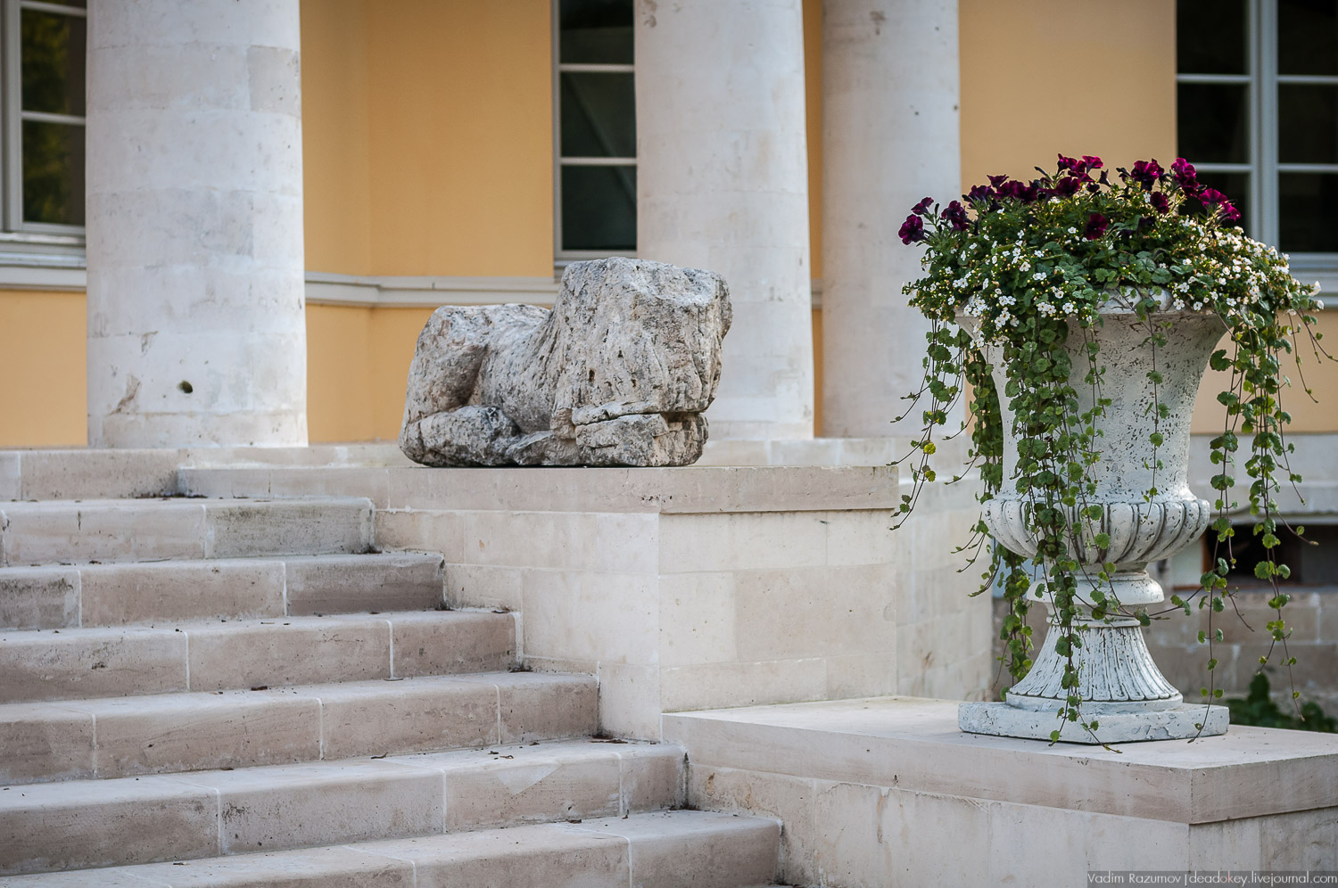 Цветы в усадьбах, поздравление с 8 марта