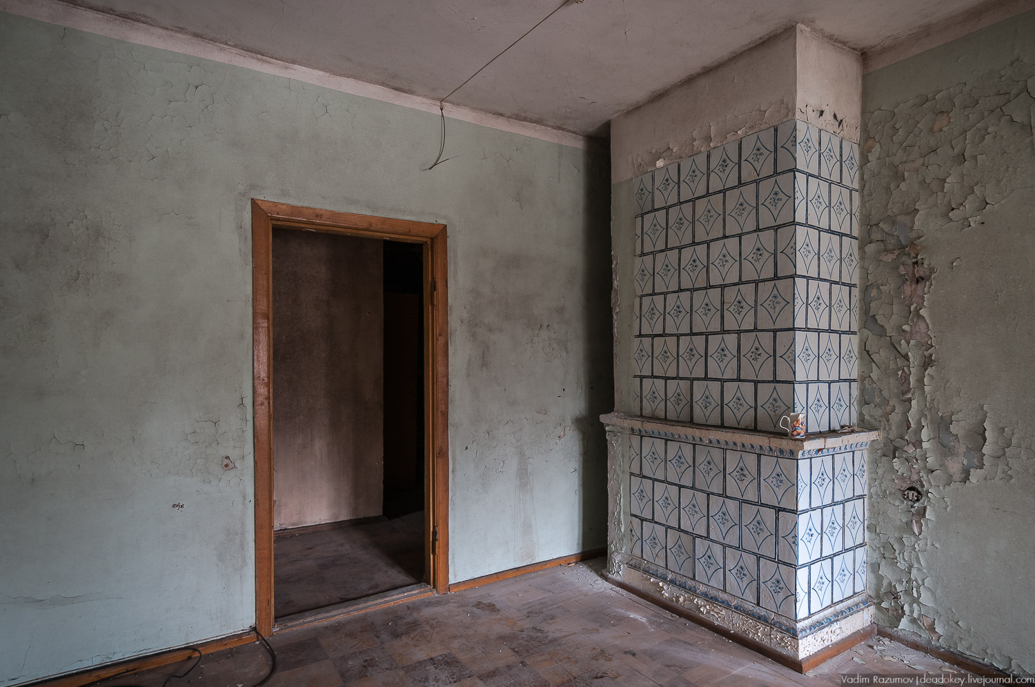 Интерьеры усадьбы Петрово-Дальнее, Дурнево