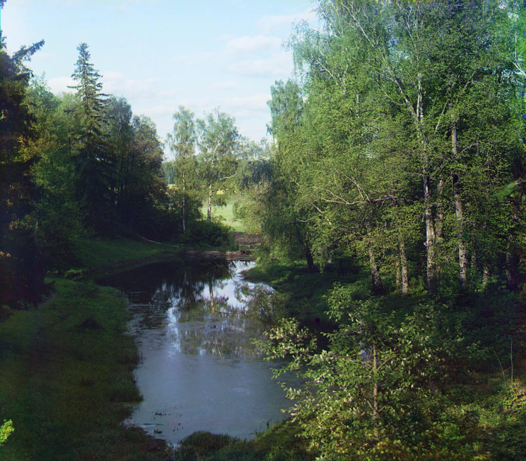 усадьба Ясная Поляна