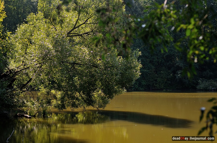 усадьба Денежниково