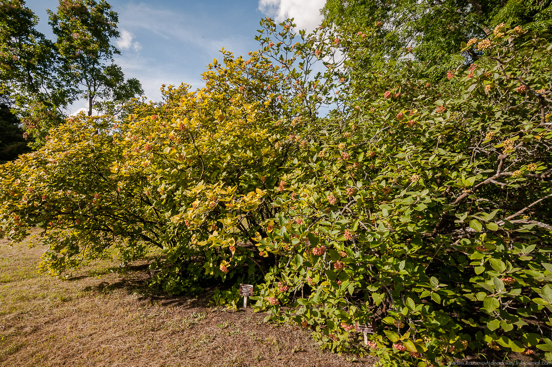 усадьба Барсуково