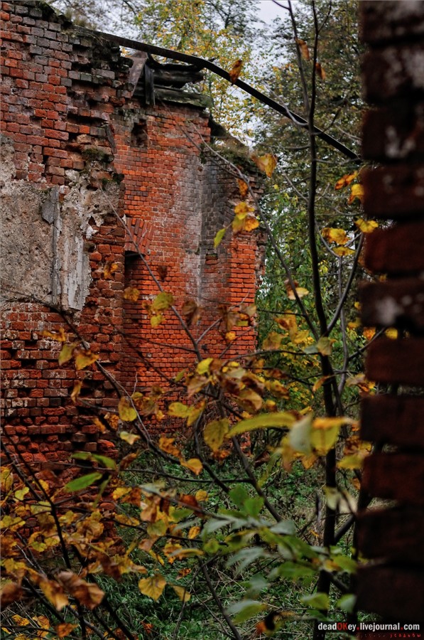 усадьба Федоровское