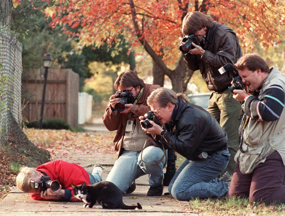 ÐÐµÐ·ÑÐ¼Ð½ÑÐµ ÑÐ¾ÑÐ¾Ð³ÑÐ°ÑÑ