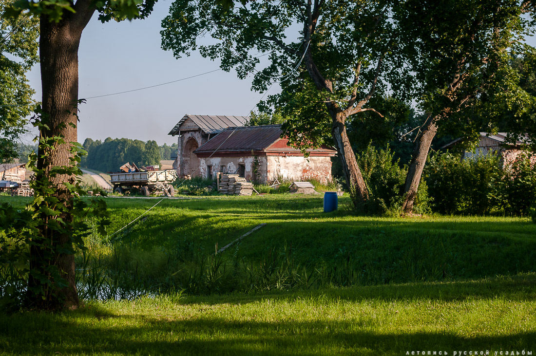усадьба Степановское-Волосово, фотографии с дрона, шетлендский пони Трамп