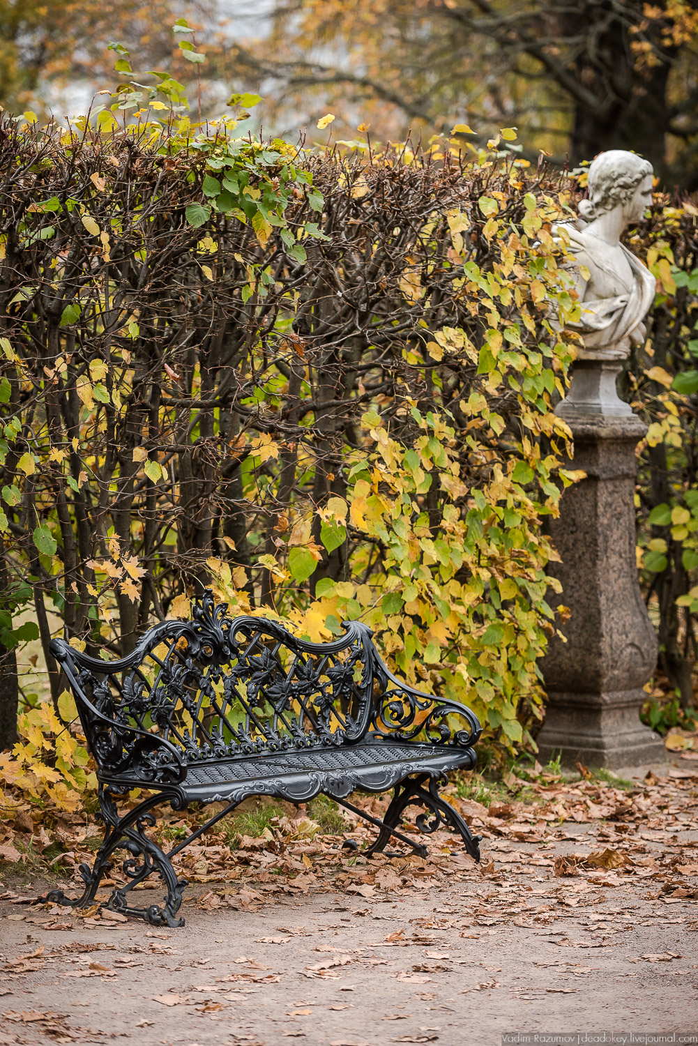 усадьба Кусково, осень 2018 года