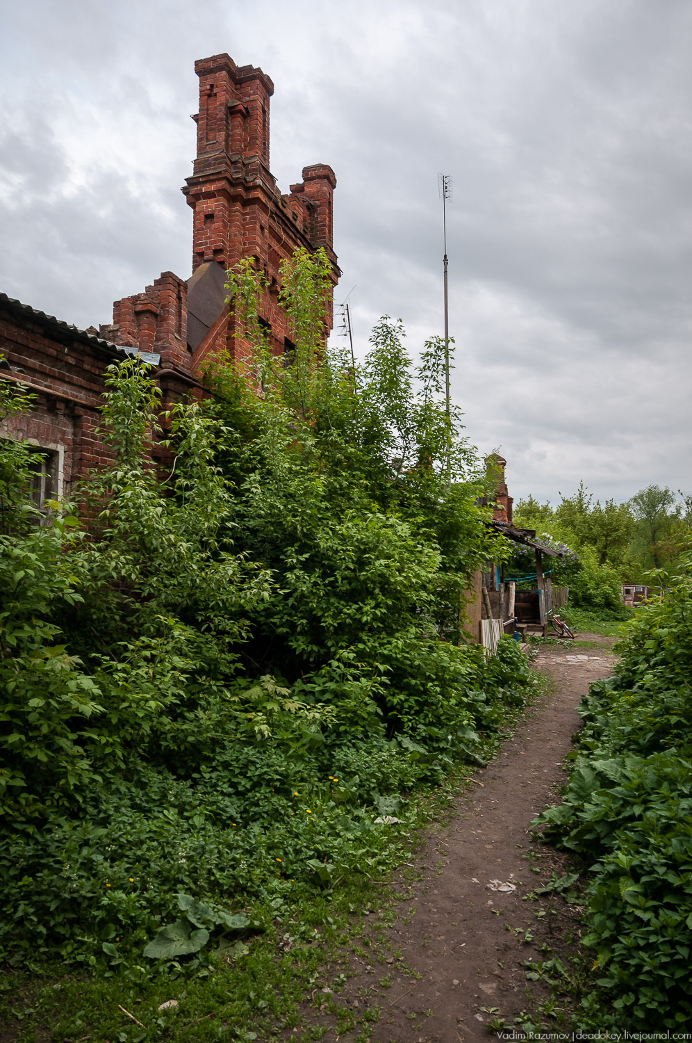 усадьба Старожилово, конезавод