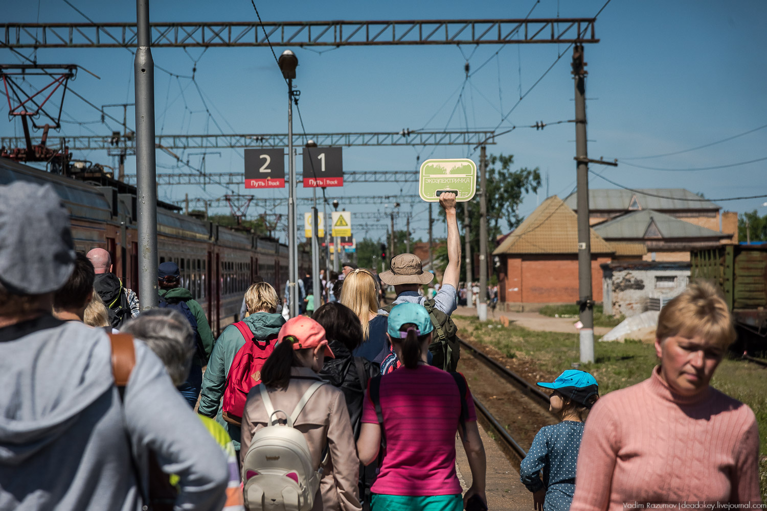 Экоэлектричка. Совиный фестиваль