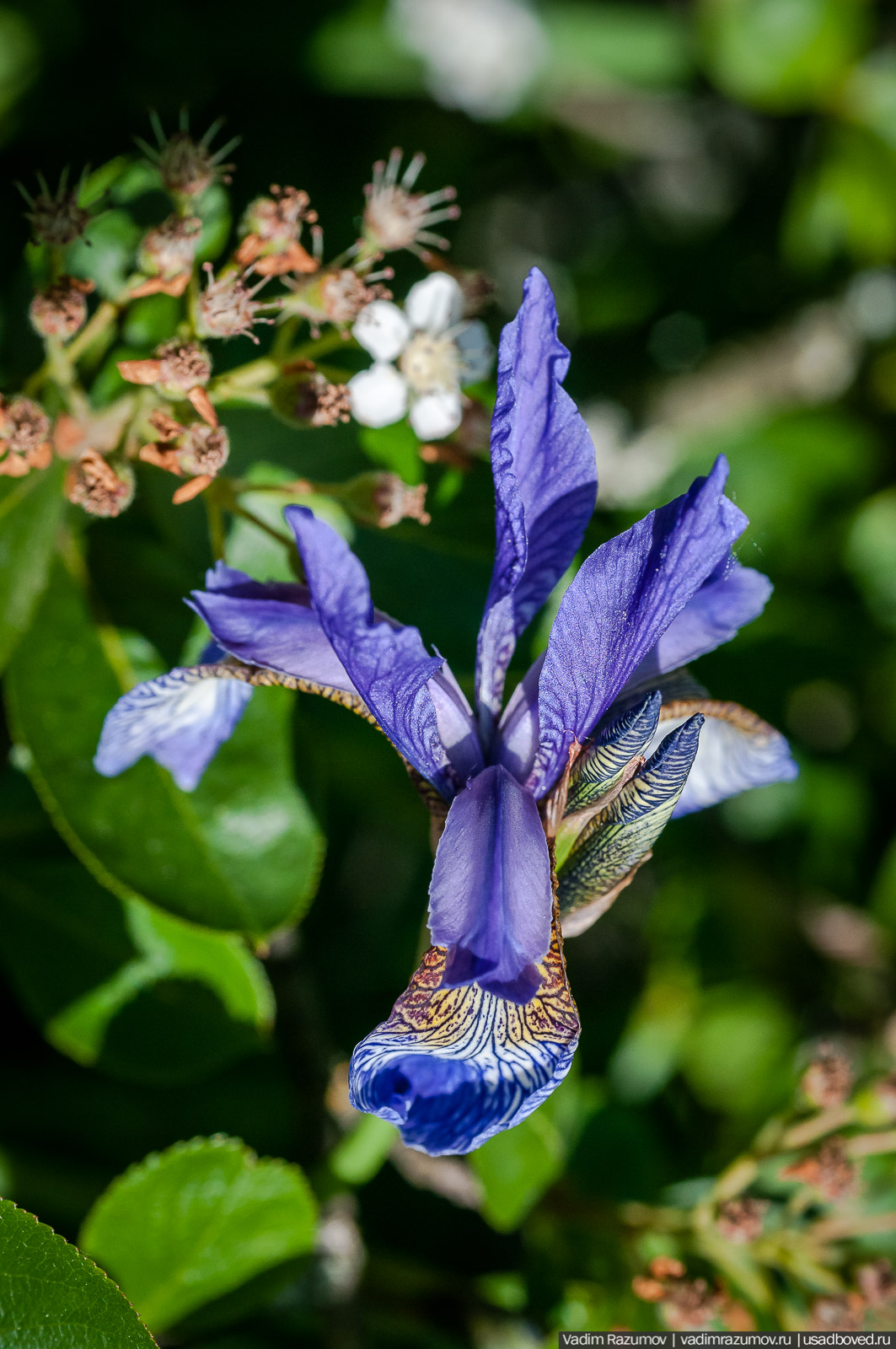усадьба Дворяниново, Андрей Тимофеевич Болотов, Тульская область