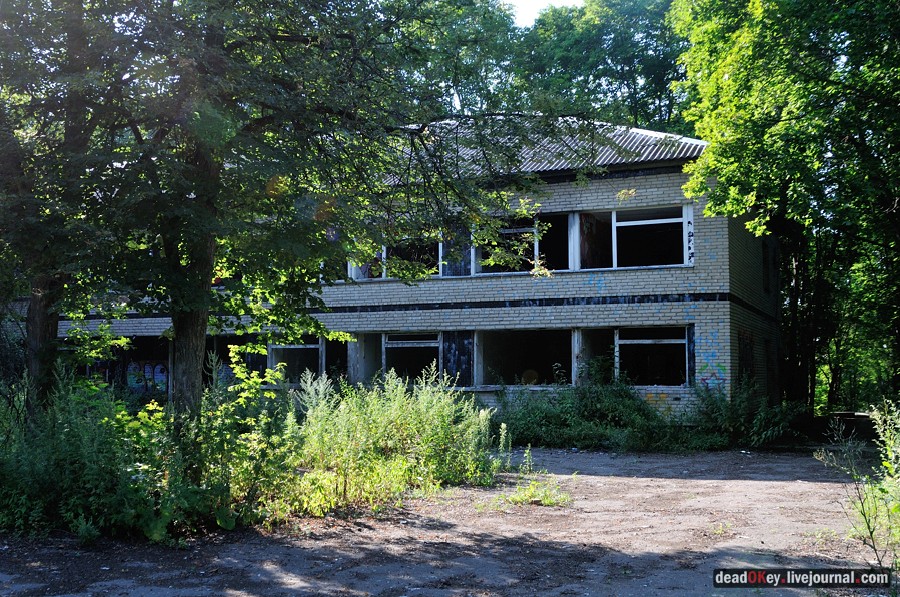 усадьба Шишкино