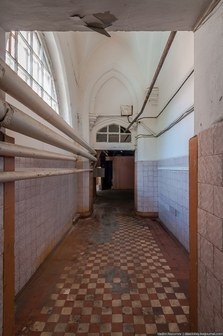 Петергофские конюшни