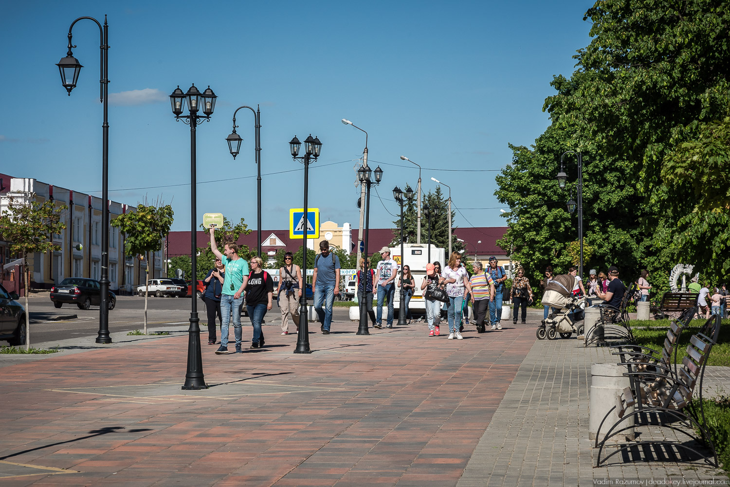 Экоэлектричка. Совиный фестиваль