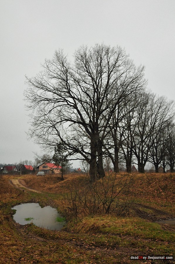 усадьба Савинское