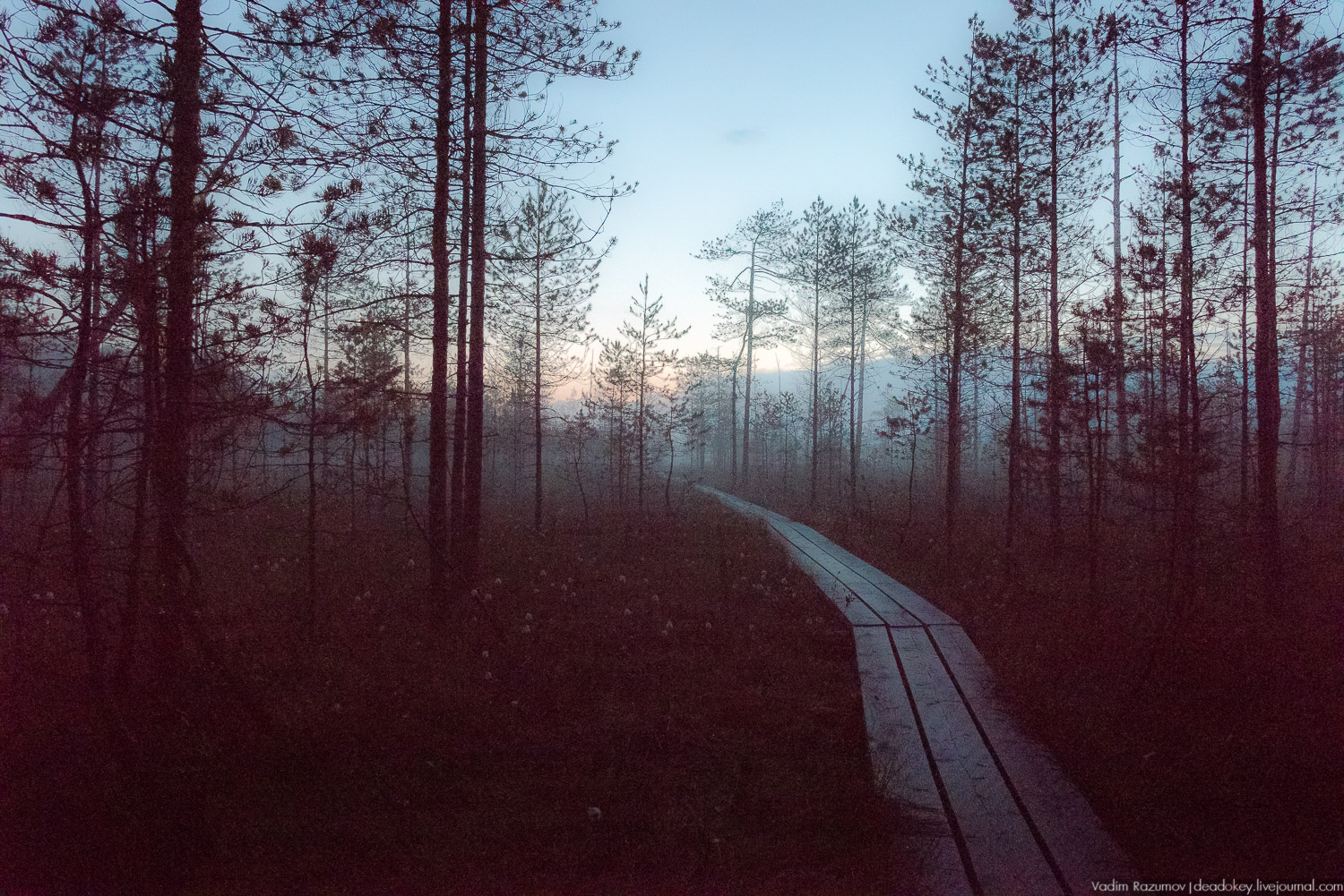 Центрально-лесной государственный природный биосферный заповедник, Нелидовский район, Тверская область, пос. Заповедный