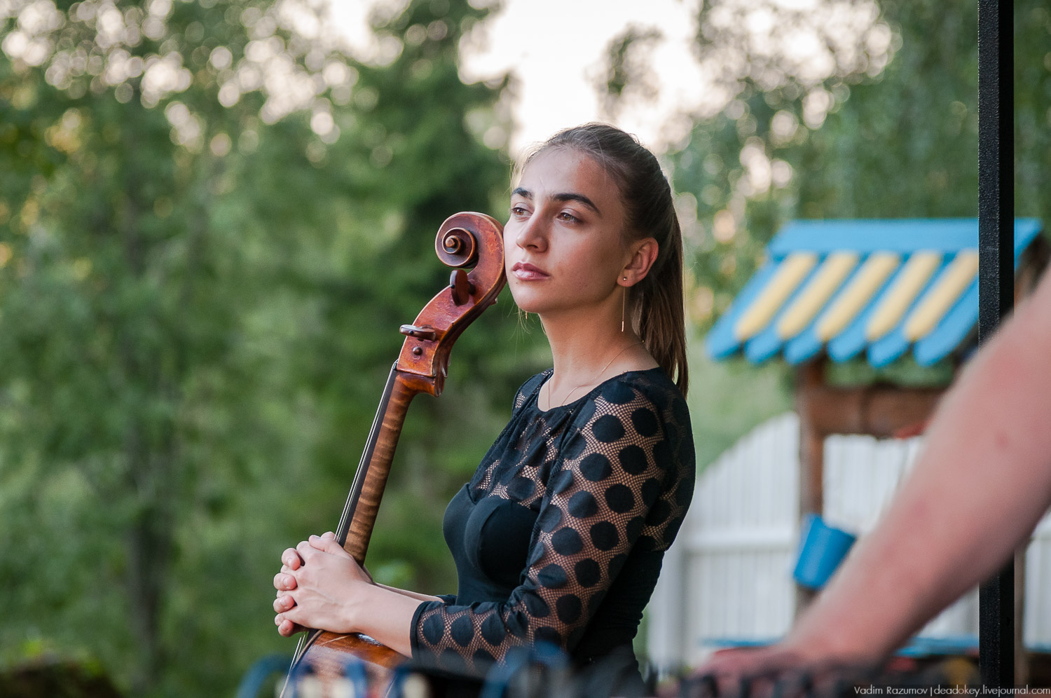 усадьба Хвалевское, Музыкальная экспедиция