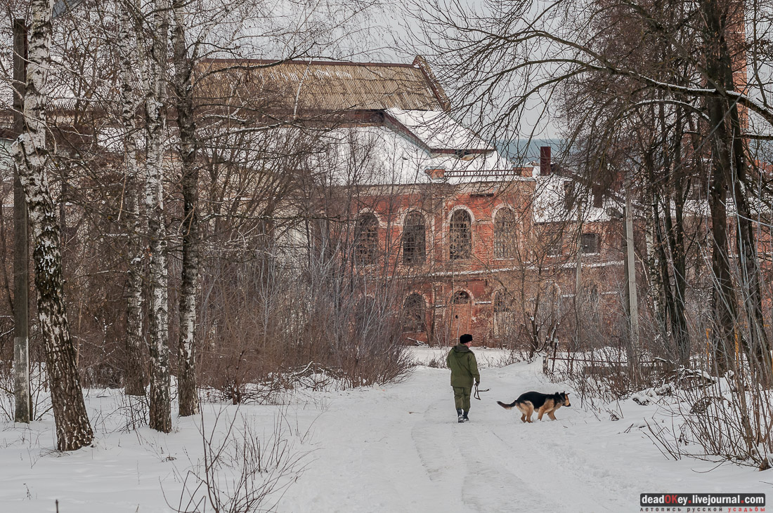 усадьба Рамонь