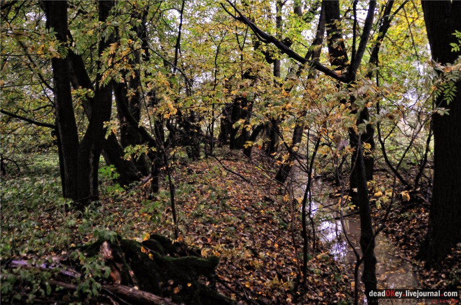 усадьба Ляхово