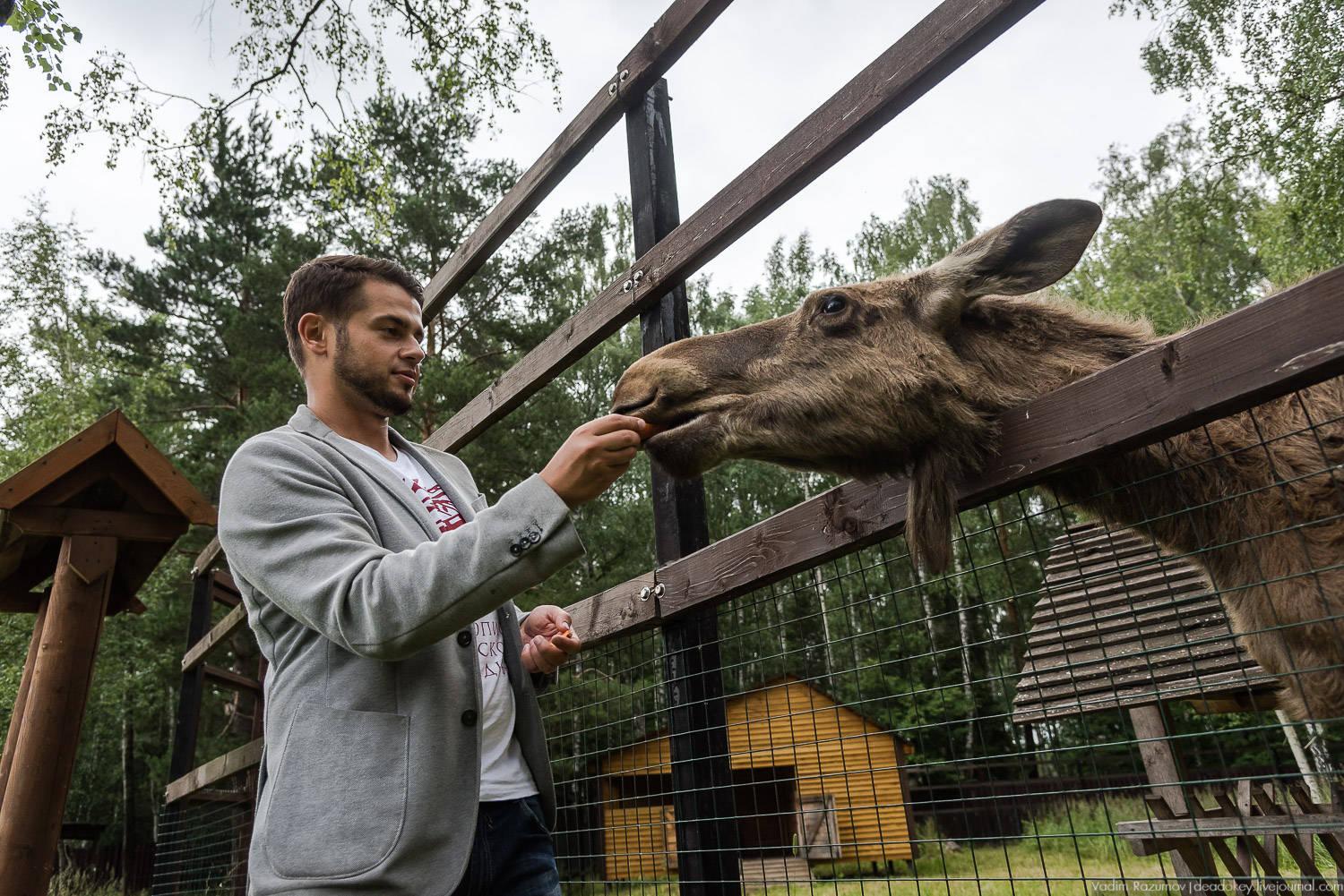 Лосиный остров