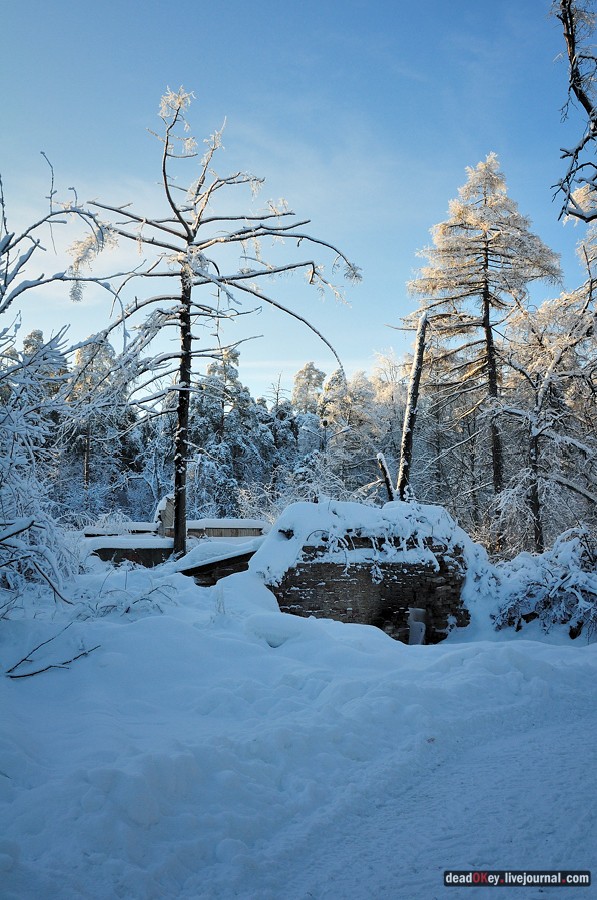 усадьба Полушкино