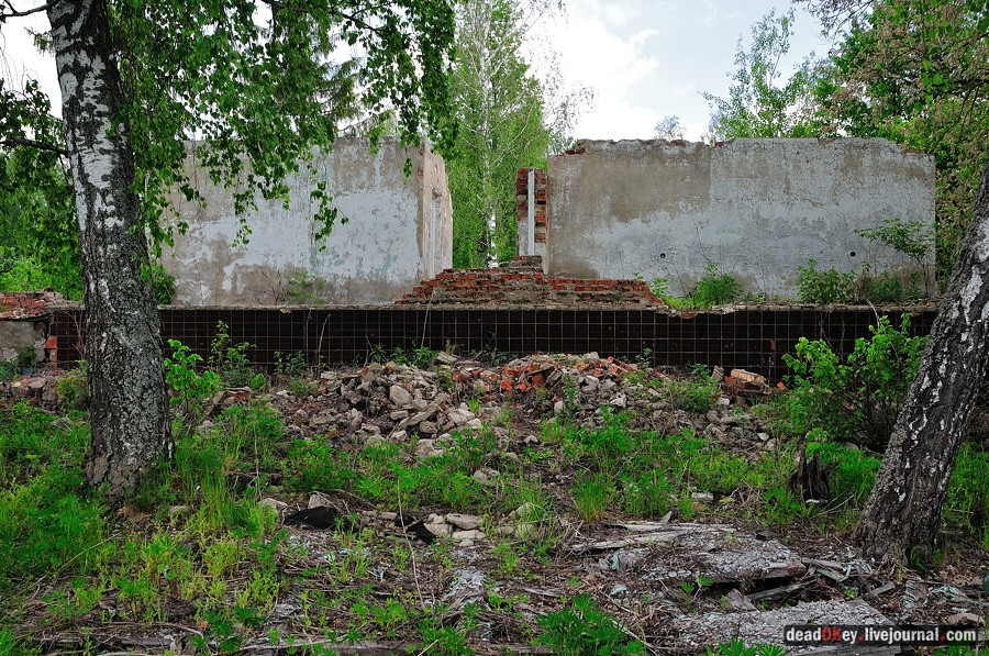 усадьба Спасское