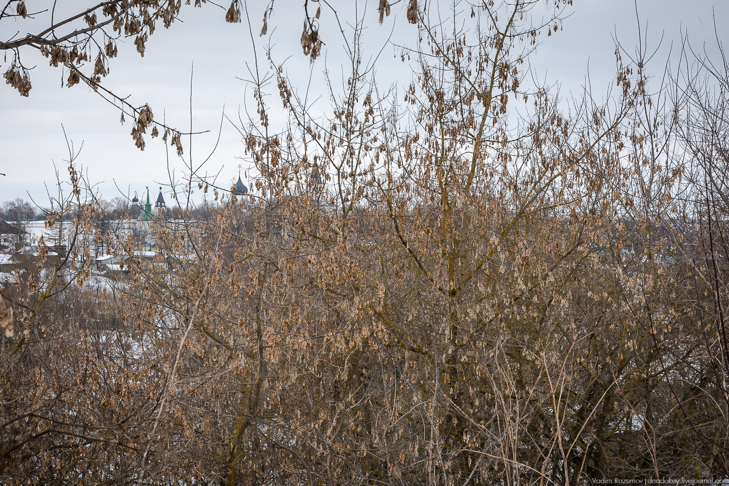 Александров, старые снимки Прокудина-Горского, фотосравнение