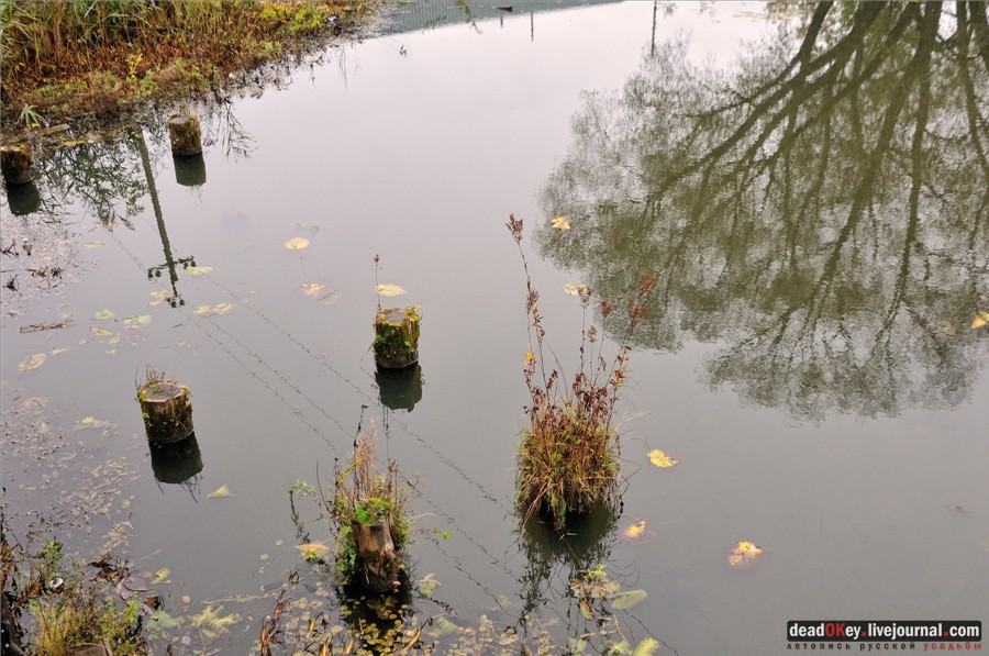 усадьба Сима