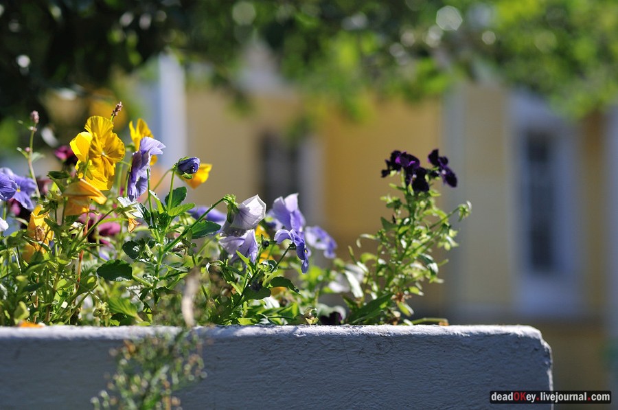 усадьба Соллогуба (городская усадьба Долгоруких или Дом Ростовых) на ул. Поварская д.52