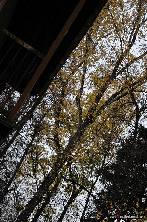 усадьба Жуково