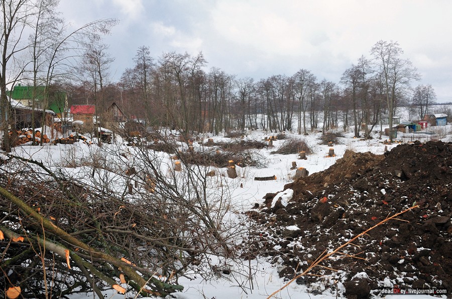 усадьба Вишняково