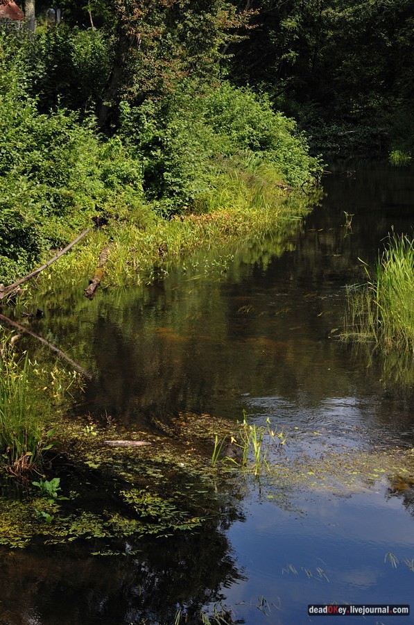 усадьба Верхоляне
