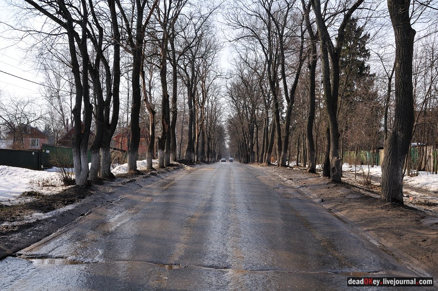 усадьба образцово