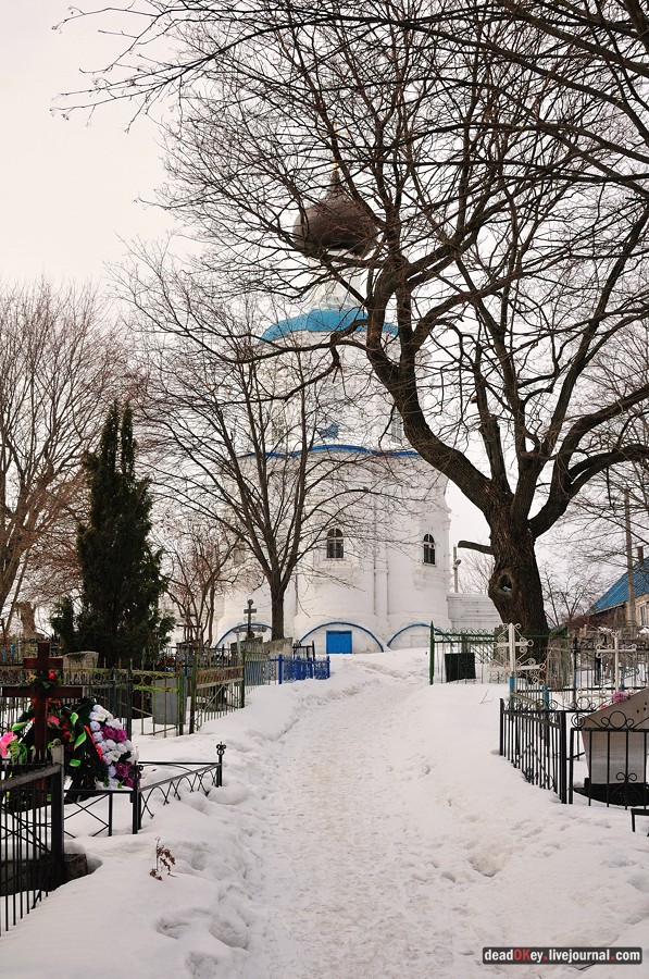 усадьба Кривцы