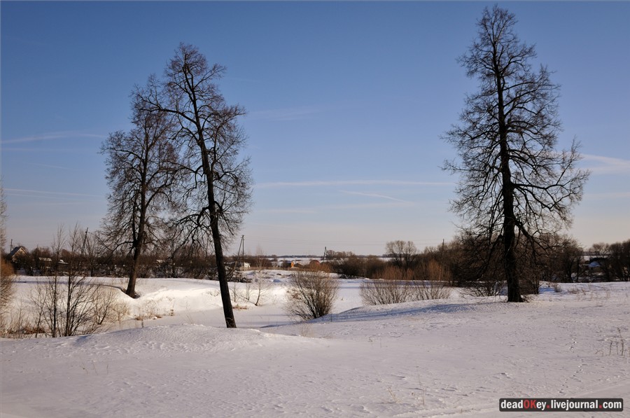 усадьба Федино