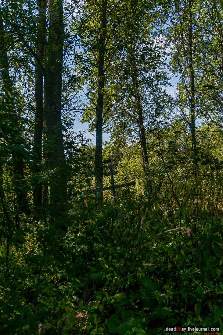 усадьба Потапово