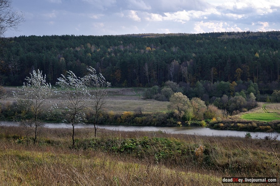 усадьба Авчурино