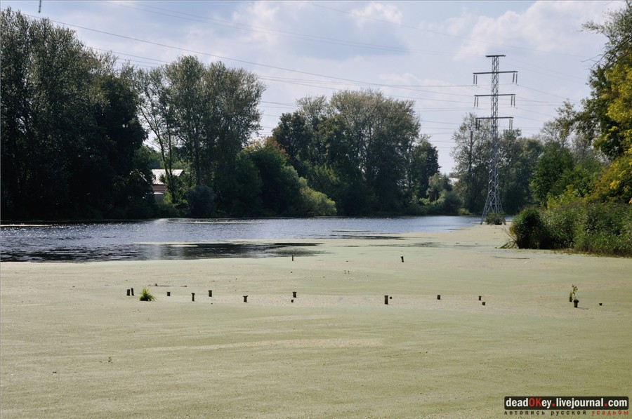 усадьба Никольское-Тимонино