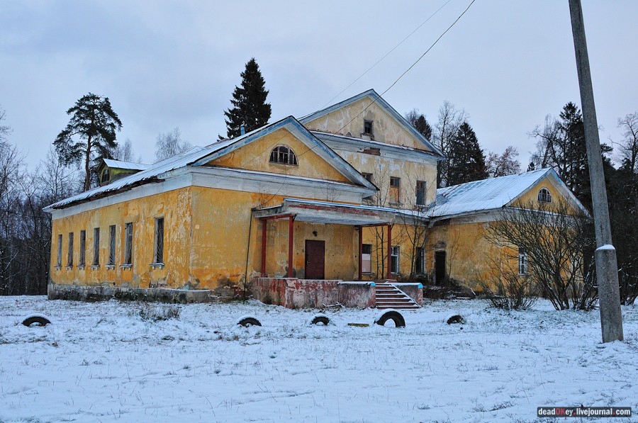 усадьба Медное-Власово