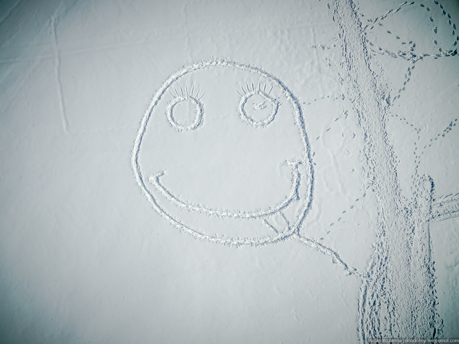 усадьба Богородицк, с дрона и квадрокоптера