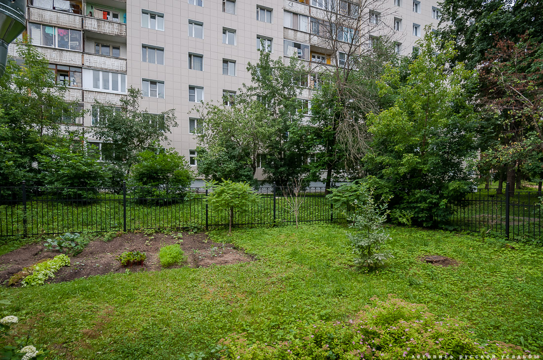 Дом Кропоткина, Дмитров, музей