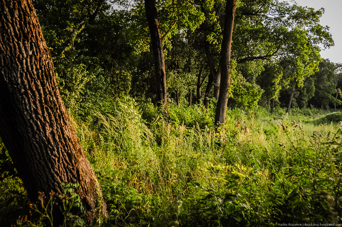 усадьба Колодезское