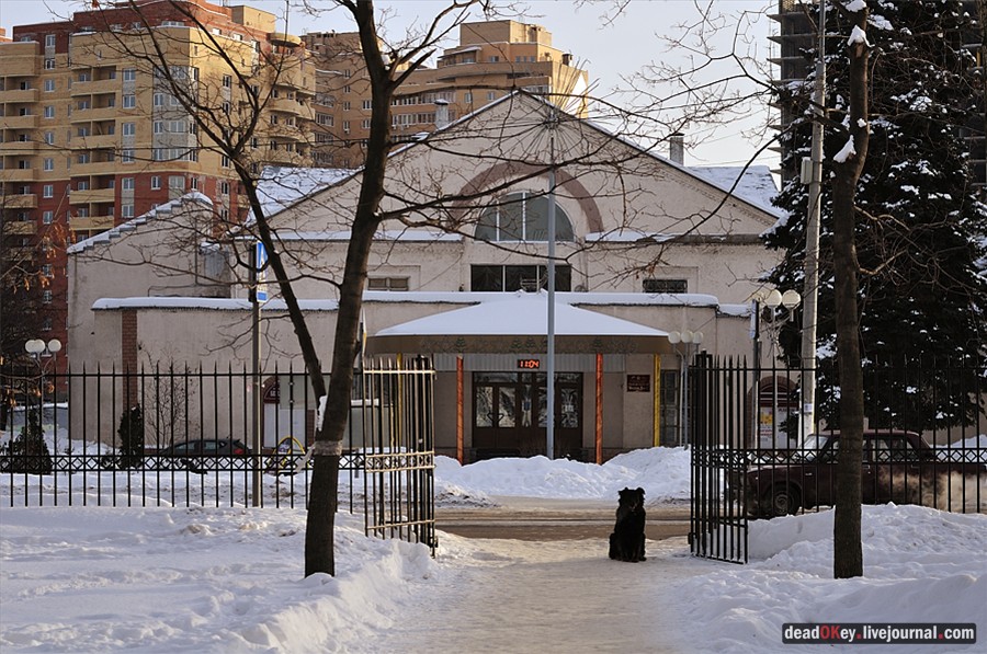 усадьба Белая Дача