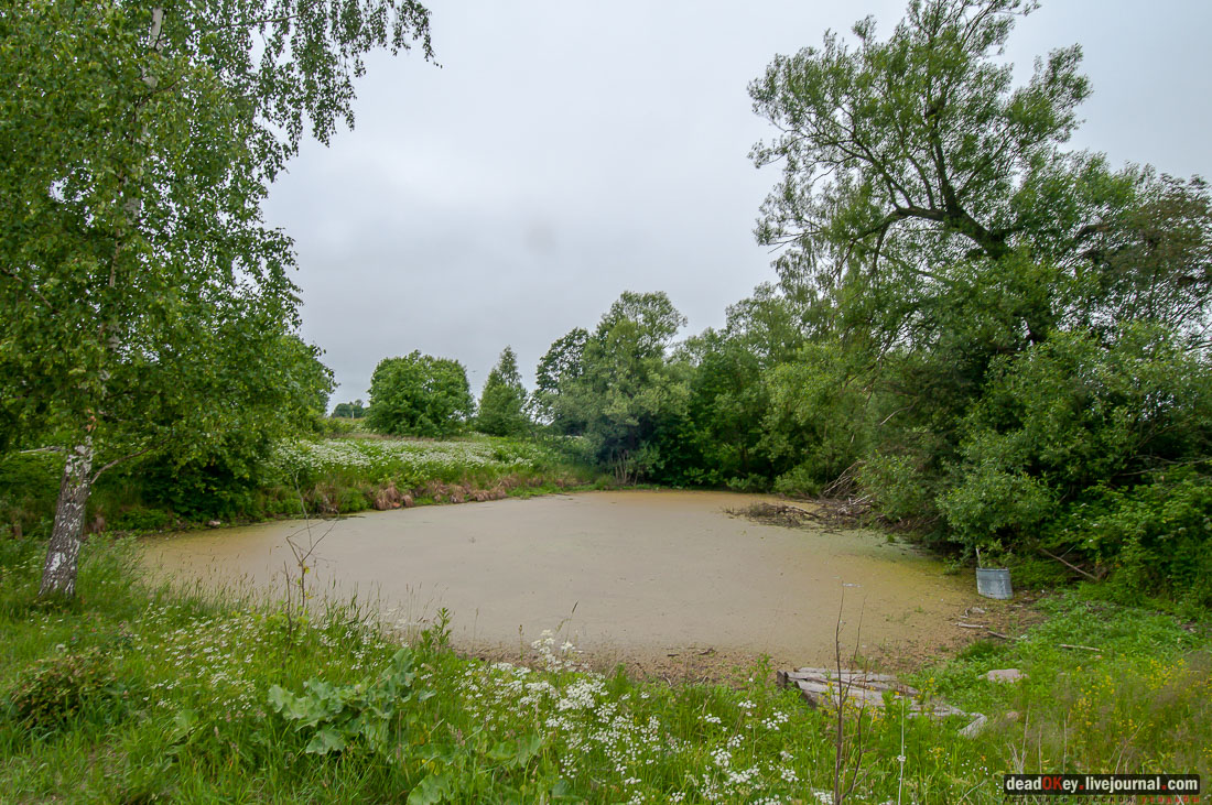 усадьба Арпачево (Тверская область, Новоторжский район, Н.А. Львов)