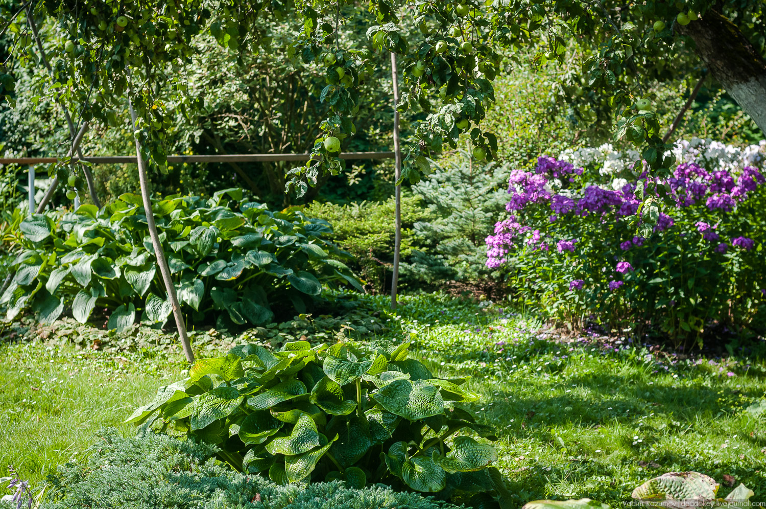 Таруса, дом-музей Паустовского