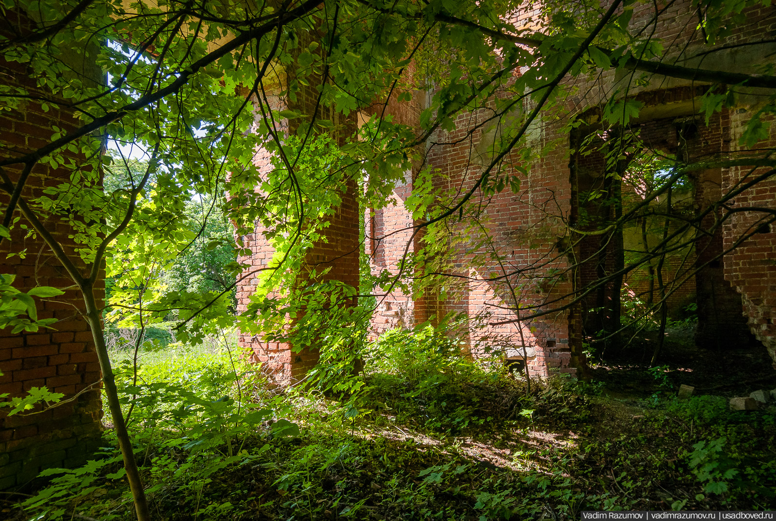 усадьба Урусово Кампанари, Тульская область, Веневский район