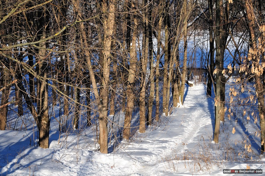 усадьба Петровское-Лобаново