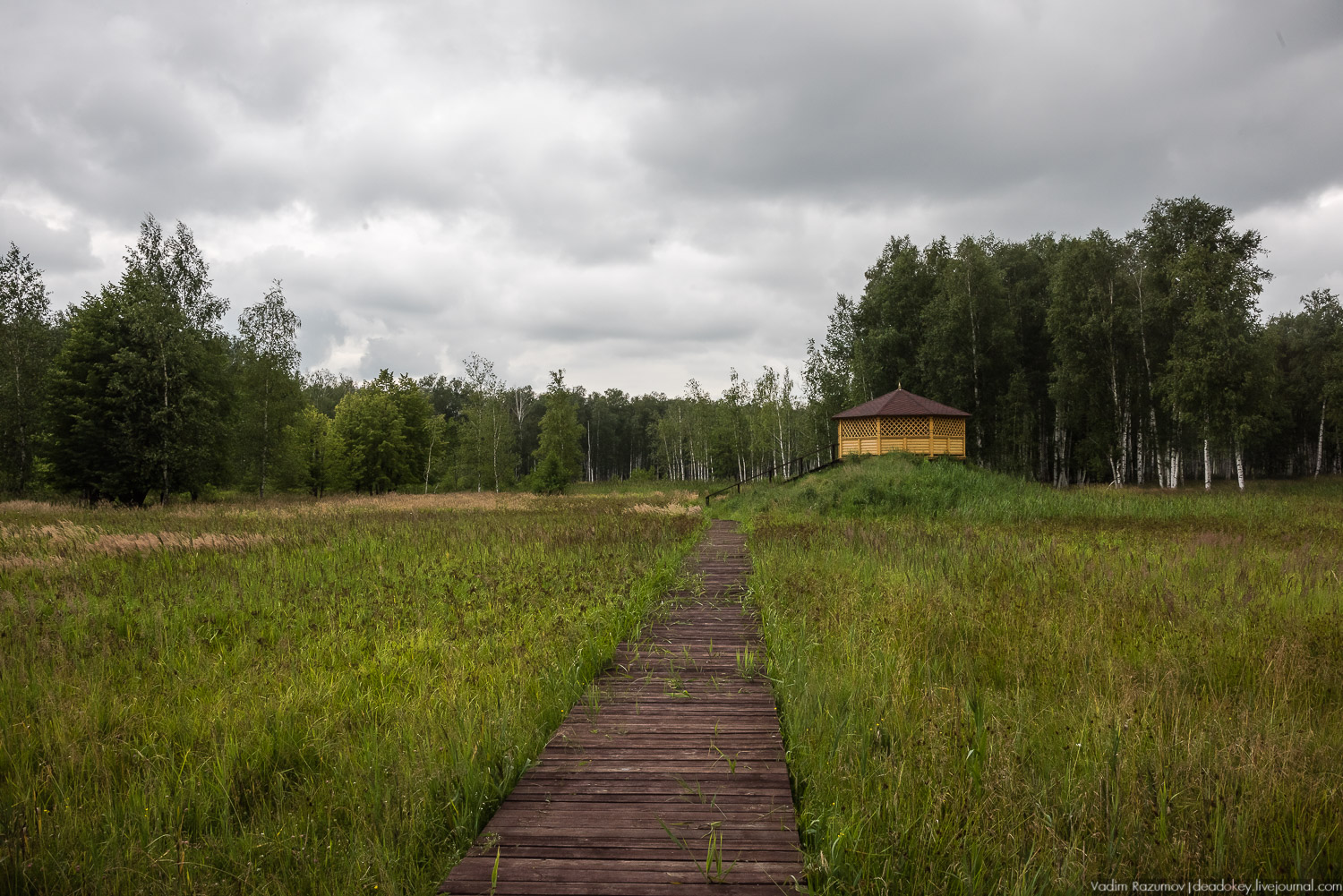 Лосиный остров