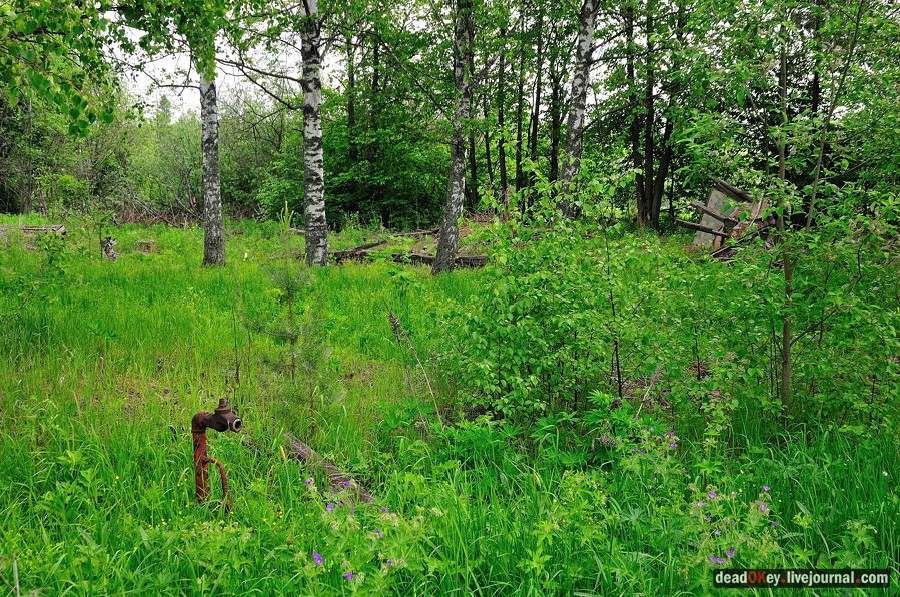 усадьба Спасское