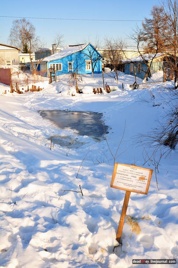 усадьба Старбеево