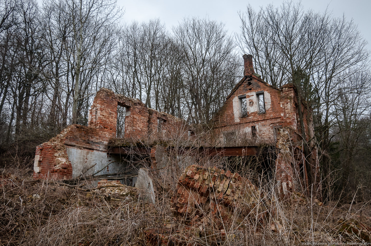 Усадьба Сенницы Усадьба Сенницы