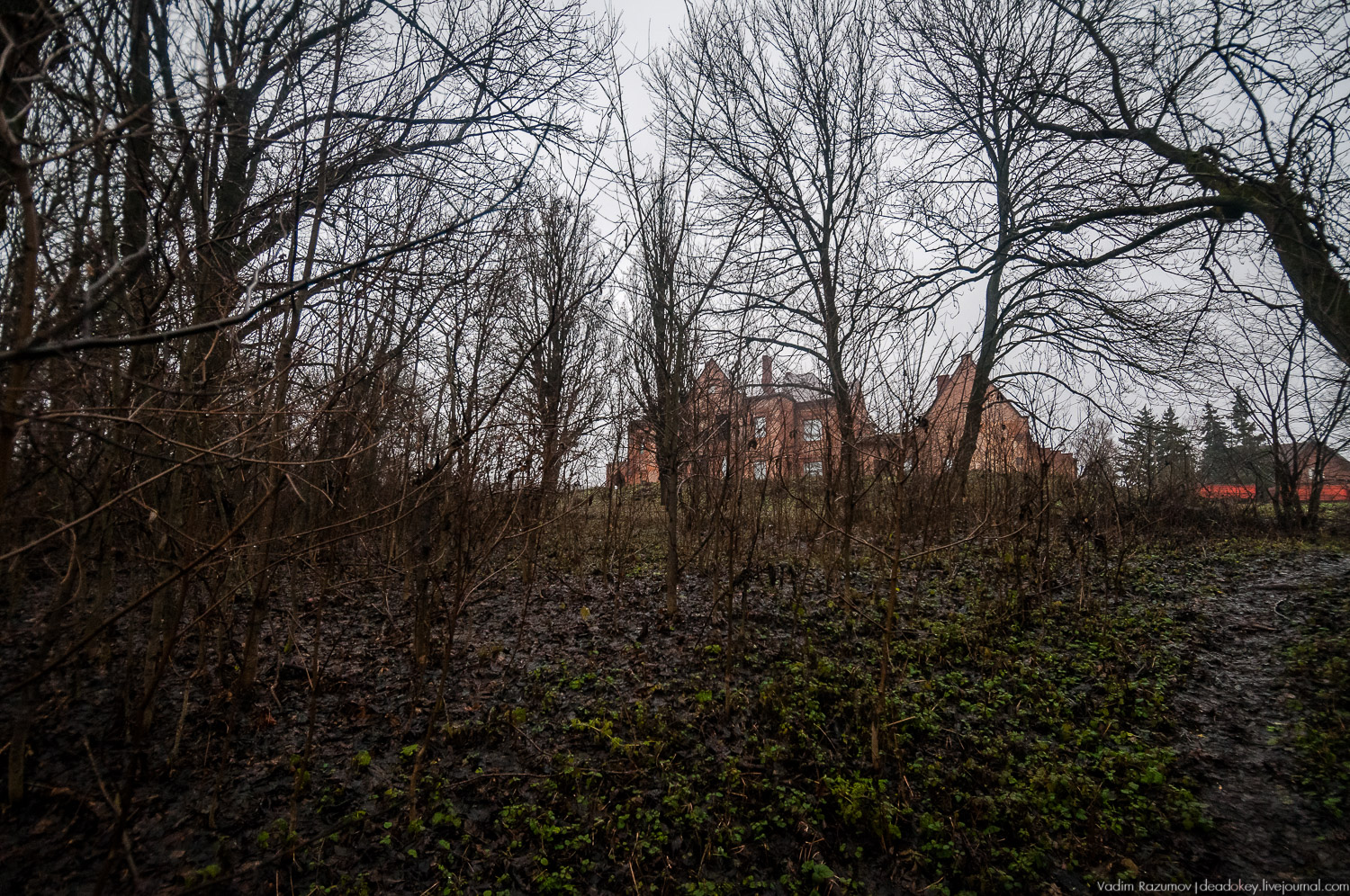 усадьба Пальна-Михайловка, аудиогид по усадбе, фото Вадим Разумов