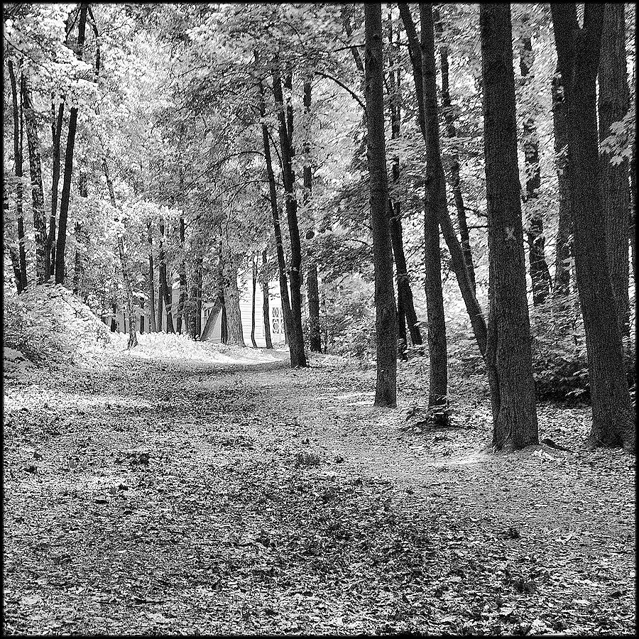 Парковые аллеи в русских усадьбах